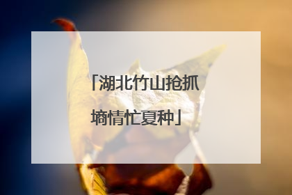 湖北竹山抢抓墒情忙夏种